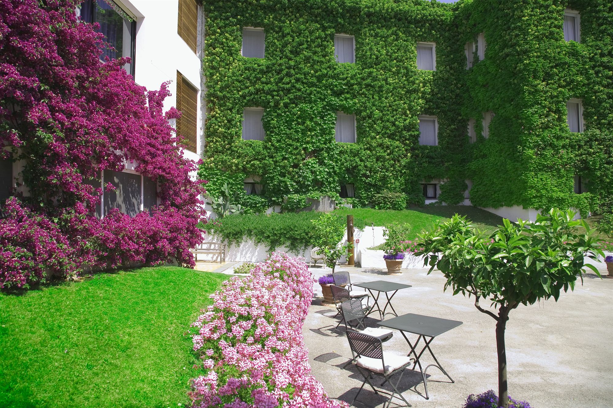 Hotel Emilia Ancona Esterno foto
